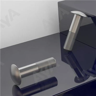 Stainless nga nagtimbukel nga ulo nga bolts .